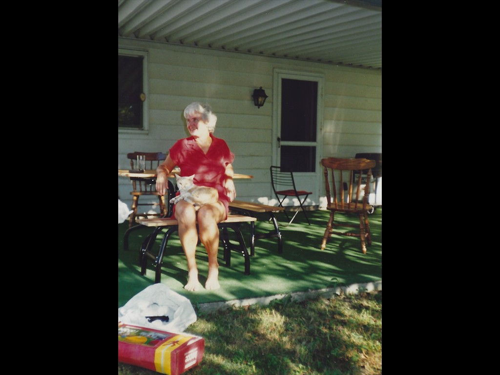 F40 Back Porch On Spring Grove