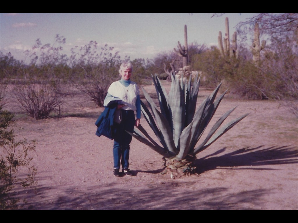 K20 Honeymoon Bobbi Cactus